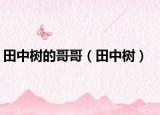 田中樹的哥哥（田中樹）