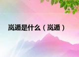 嵐遁是什么（嵐遁）