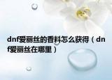 dnf愛麗絲的香料怎么獲得（dnf愛麗絲在哪里）