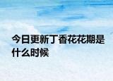 今日更新丁香花花期是什么時候