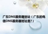 廣東DNS服務(wù)器地址（廣東的電信DNS服務(wù)器地址是?）