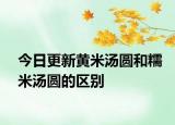 今日更新黃米湯圓和糯米湯圓的區(qū)別