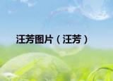 汪芳圖片（汪芳）
