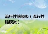 流行性腦膜炎（流行性腦膜炎）
