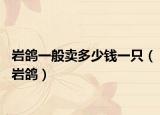 巖鴿一般賣多少錢一只（巖鴿）