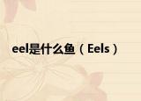 eel是什么魚（Eels）