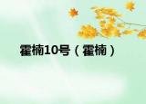 霍楠10號（霍楠）