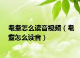 耄耋怎么讀音視頻（耄耋怎么讀音）