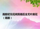 雨前初見花間蕊雨后全無葉底花（雨前）