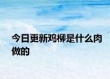 今日更新雞柳是什么肉做的