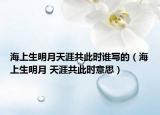 海上生明月天涯共此時誰寫的（海上生明月 天涯共此時意思）