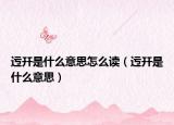 迃幵是什么意思怎么讀（迃幵是什么意思）