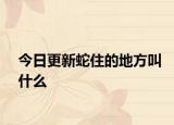今日更新蛇住的地方叫什么