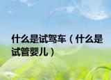 什么是試駕車（什么是試管嬰兒）