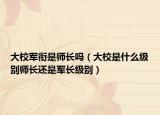大校軍銜是師長嗎（大校是什么級別師長還是軍長級別）