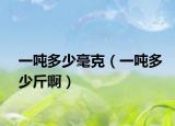 一噸多少毫克（一噸多少斤?。? /></span></a>
                        <h2><a href=