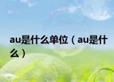 au是什么單位（au是什么）