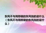東風(fēng)不與周郎便的東風(fēng)指的是什么（東風(fēng)不與周郎便的東風(fēng)指的是什么）