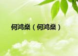 何鴻燊（何鴻燊）