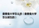 查普曼大學怎么進（查普曼大學怎么誕生的）