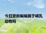 今日更新蝙蝠屬于哺乳動(dòng)物嗎