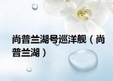 尚普蘭湖號(hào)巡洋艦（尚普蘭湖）