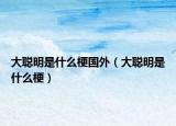 大聰明是什么梗國(guó)外（大聰明是什么梗）