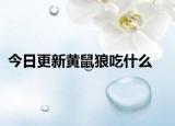 今日更新黃鼠狼吃什么