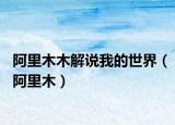 阿里木木解說我的世界（阿里木）