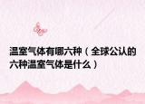 溫室氣體有哪六種（全球公認(rèn)的六種溫室氣體是什么）