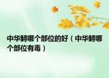 中華鱘哪個(gè)部位的好（中華鱘哪個(gè)部位有毒）
