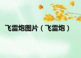 飛雷炮圖片（飛雷炮）