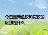 今日更新魚膠和花膠的區(qū)別是什么