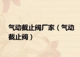 氣動(dòng)截止閥廠家（氣動(dòng)截止閥）