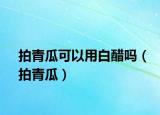 拍青瓜可以用白醋嗎（拍青瓜）
