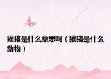 獾豬是什么意思啊（獾豬是什么動(dòng)物）