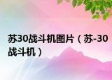 蘇30戰(zhàn)斗機(jī)圖片（蘇-30戰(zhàn)斗機(jī)）