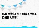 cMo是什么職位（cmo是什么職位是什么意思）