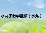 水丸子教學(xué)視頻（水丸）