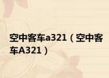 空中客車a321（空中客車A321）