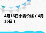 4月16日小麥價(jià)格（4月16日）