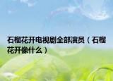 石榴花開電視劇全部演員（石榴花開像什么）