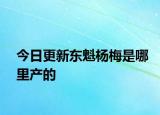 今日更新東魁楊梅是哪里產(chǎn)的