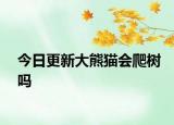 今日更新大熊貓會爬樹嗎