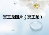 冥王龍圖片（冥王龍）