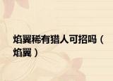 焰翼稀有獵人可招嗎（焰翼）