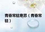 青春常駐意思（青春常駐）