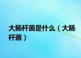 大腸桿菌是什么（大腸桿菌）