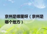 京州是哪里呀（京州是哪個地方）