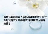 有什么好玩的雙人單機(jī)游戲電腦版（有什么好玩的雙人單機(jī)游戲 單機(jī)版雙人游戲推薦）